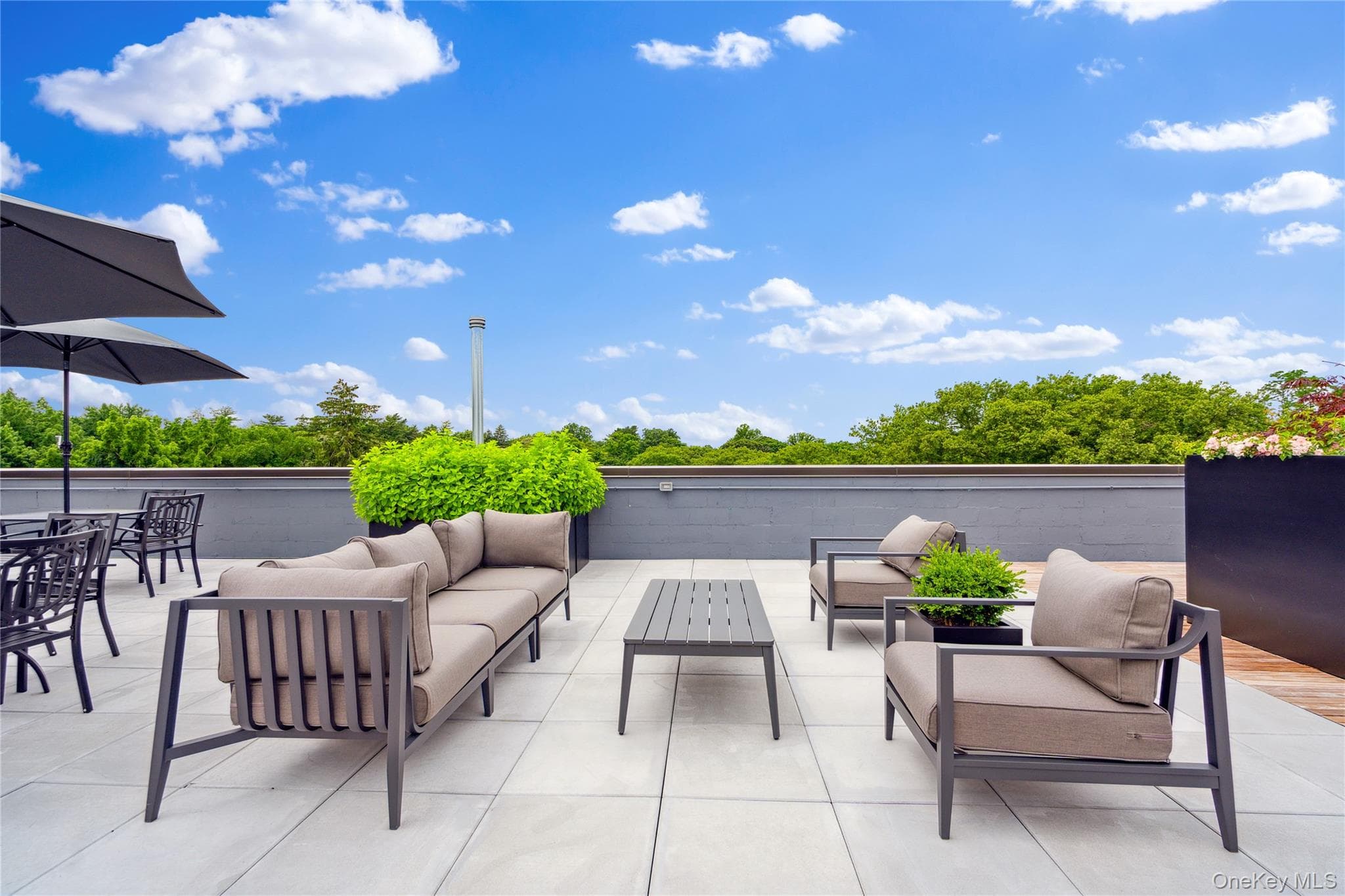218 Middle Neck Road Unit: 302 thumbnail 12