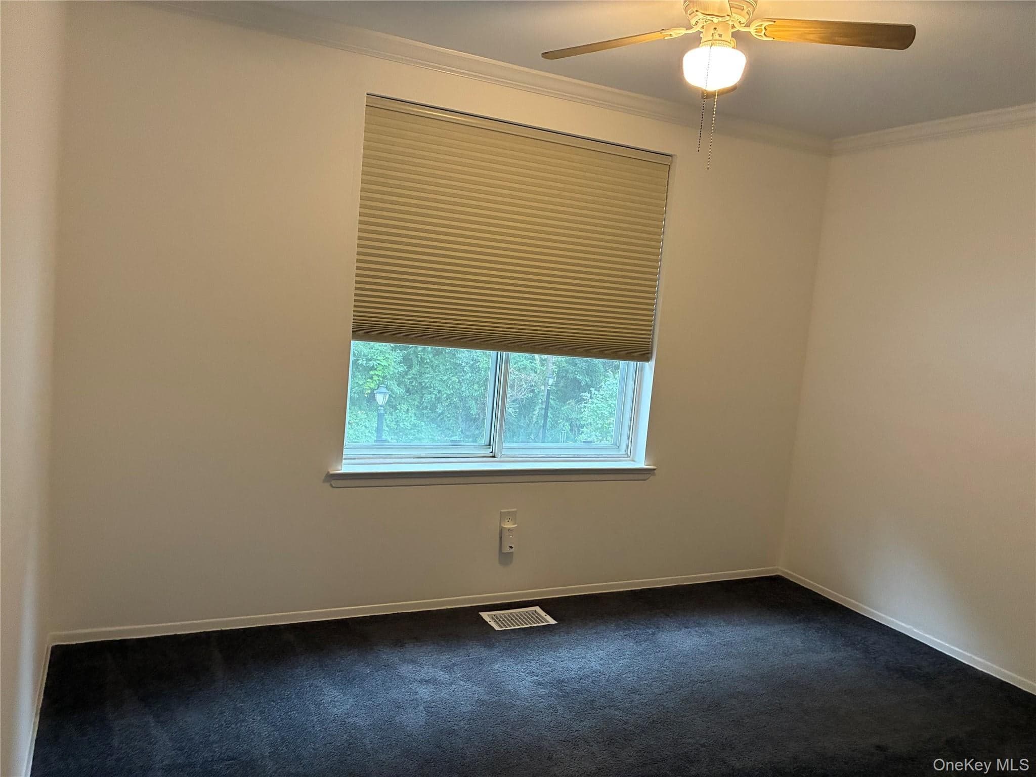 746 Blue Ridge Drive thumbnail 11
