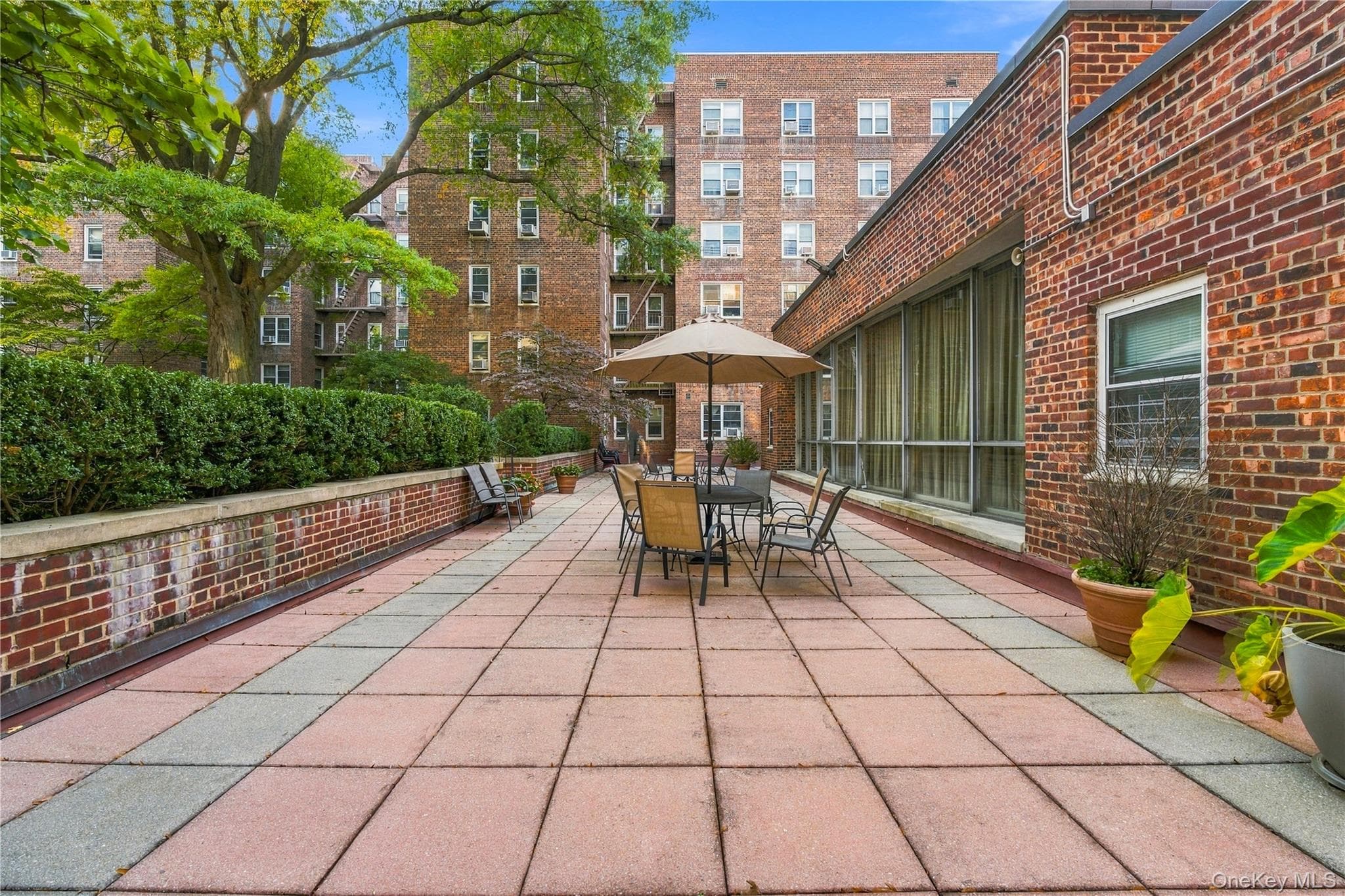 112-20 72nd Drive Unit: APT D25 thumbnail 20