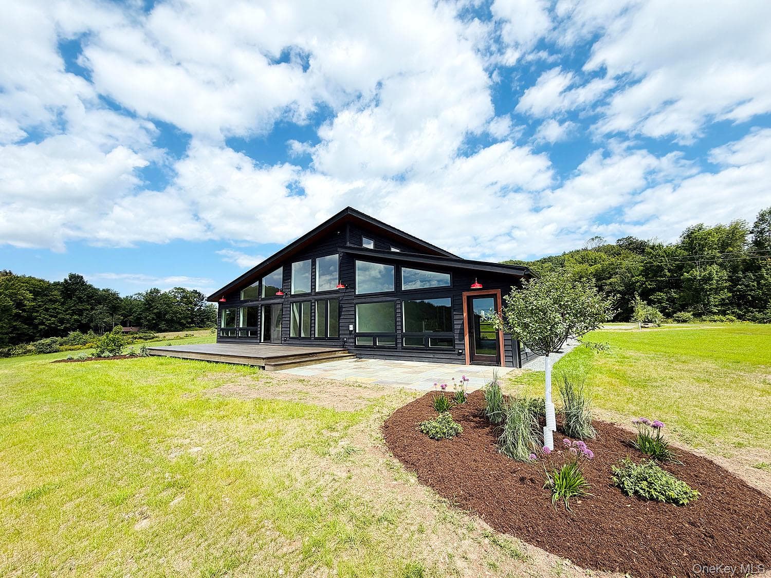 199 Henderson Road thumbnail 27