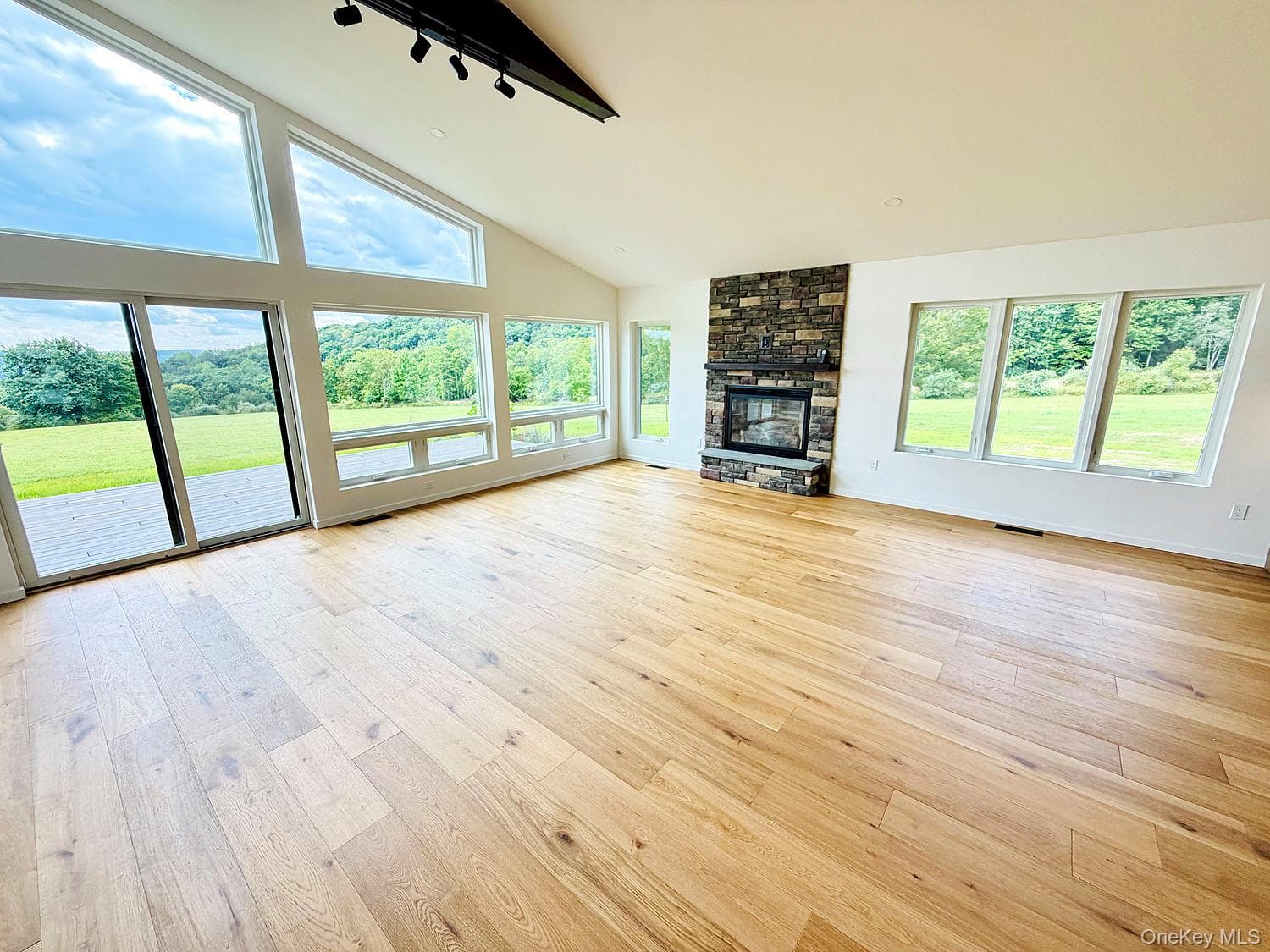 199 Henderson Road thumbnail 9