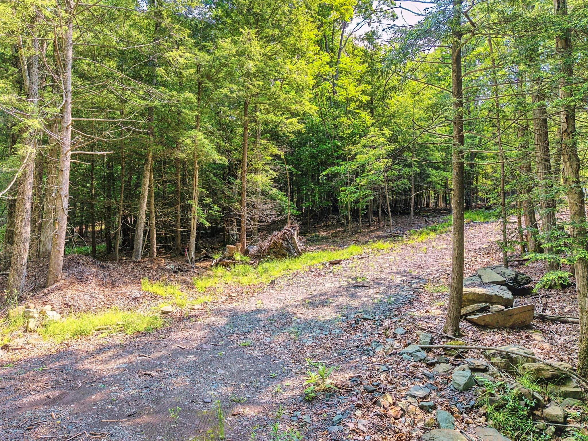 TBD Boulder Brook Lot 13b Road thumbnail 43