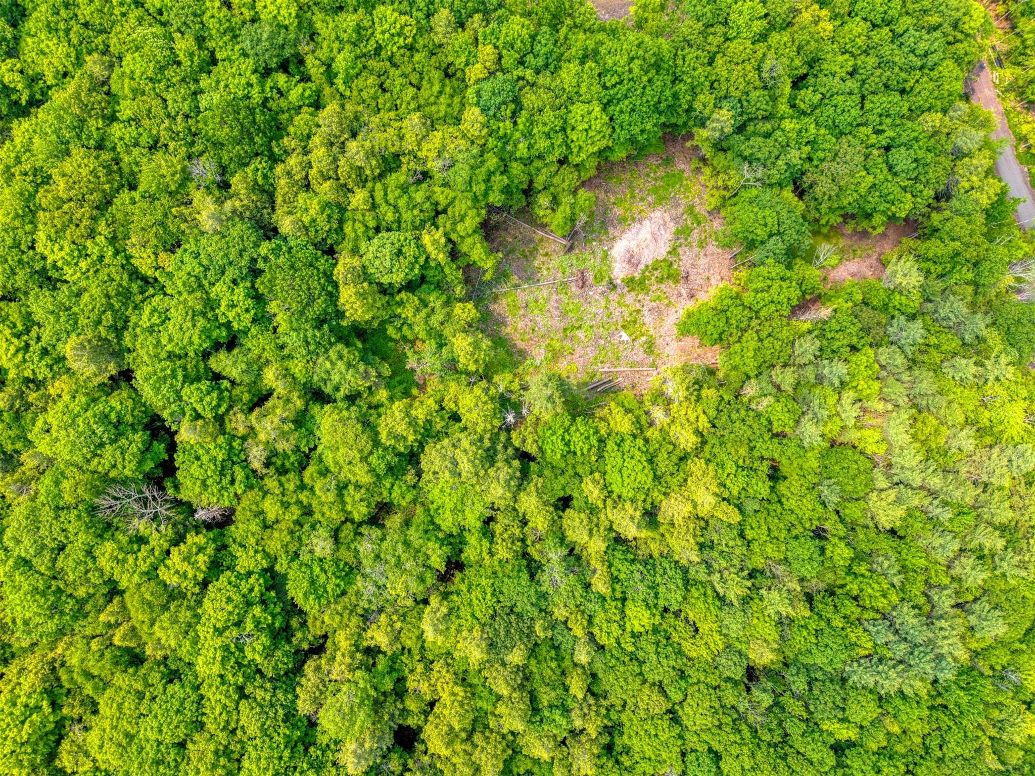 TBD Boulder Brook Lot 13b Road thumbnail 30