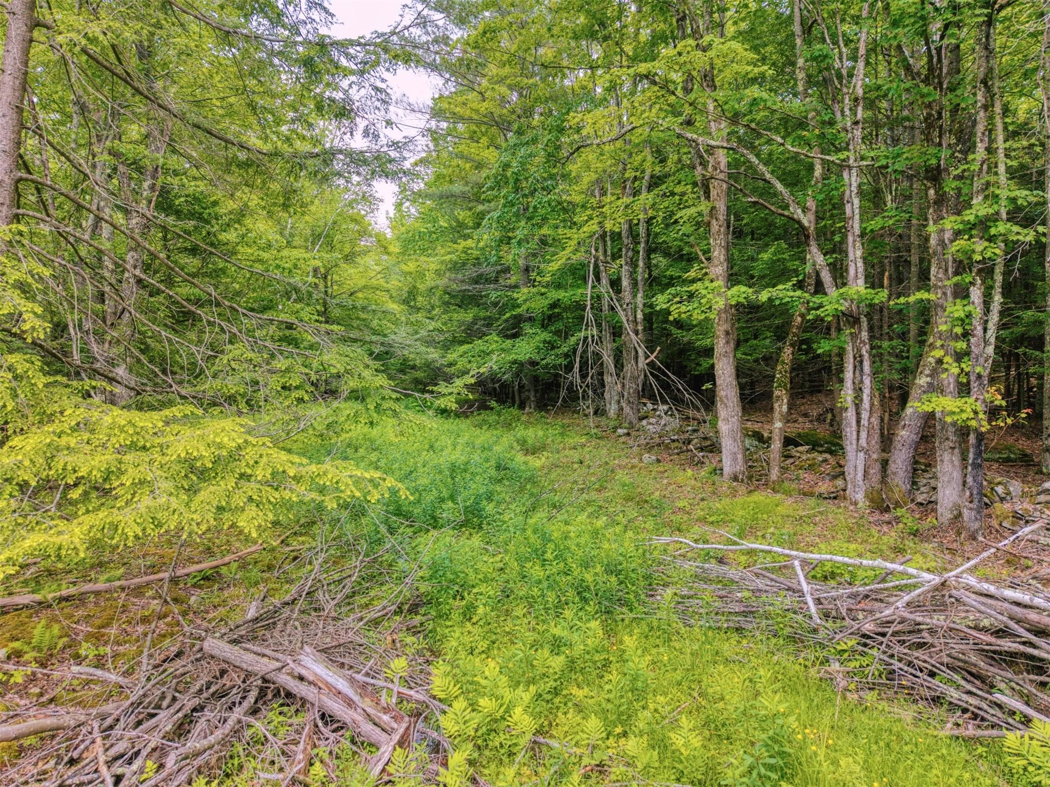 TBD Boulder Brook Lot 13b Road thumbnail 6