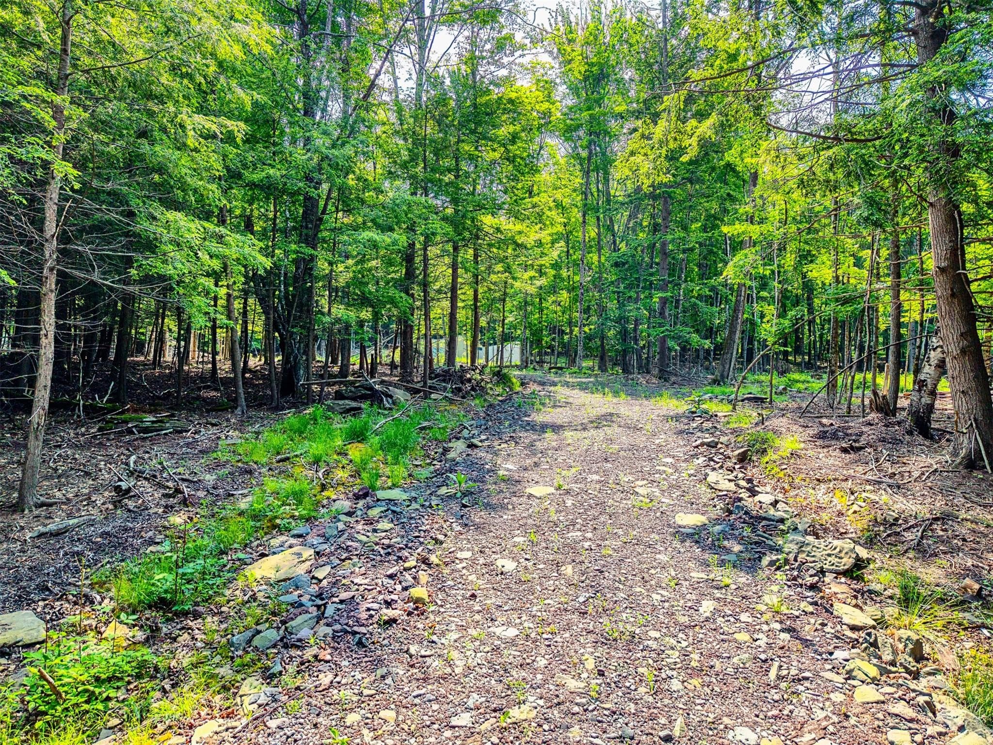 TBD Boulder Brook Lot 13b Road thumbnail 40