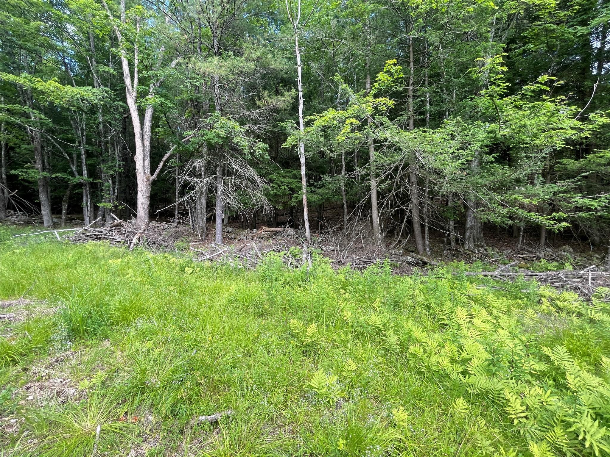 TBD Boulder Brook Lot 13b Road thumbnail 4