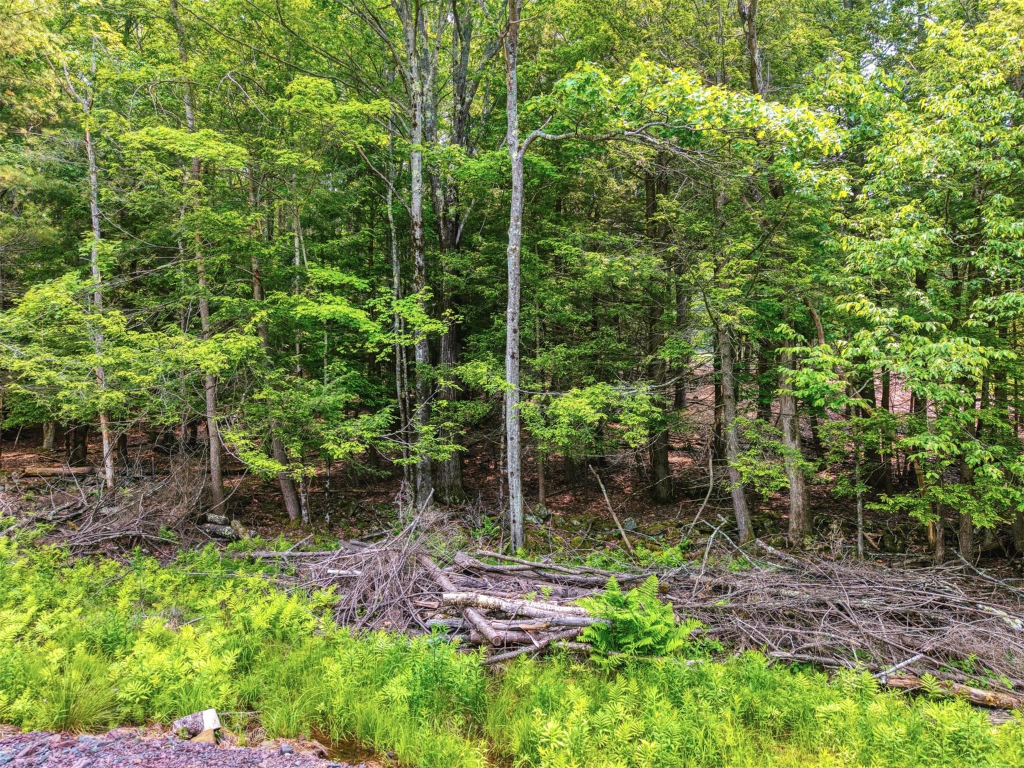 TBD Boulder Brook Lot 13b Road thumbnail 3