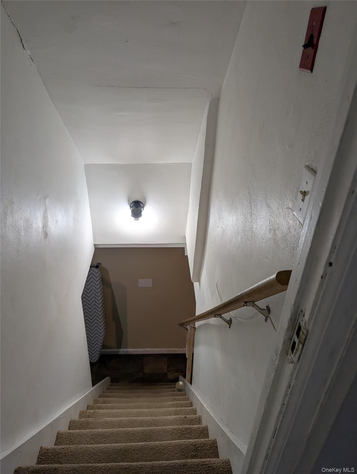 186 Westbury Boulevard thumbnail 6
