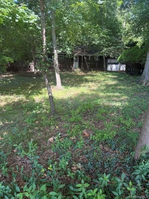 165 Hickory Lane thumbnail 3