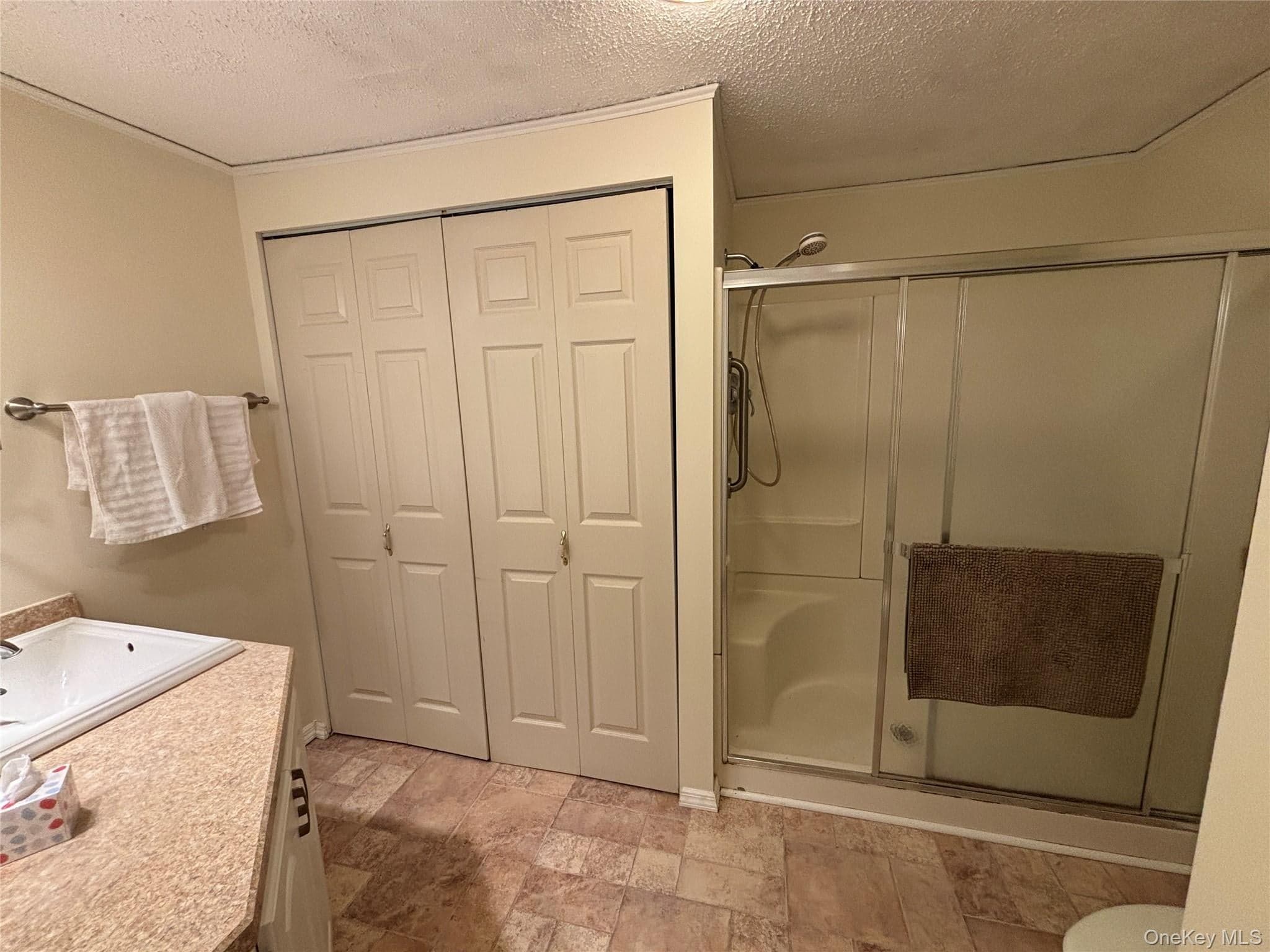 1661 Old Country Road Unit: 233 thumbnail 18