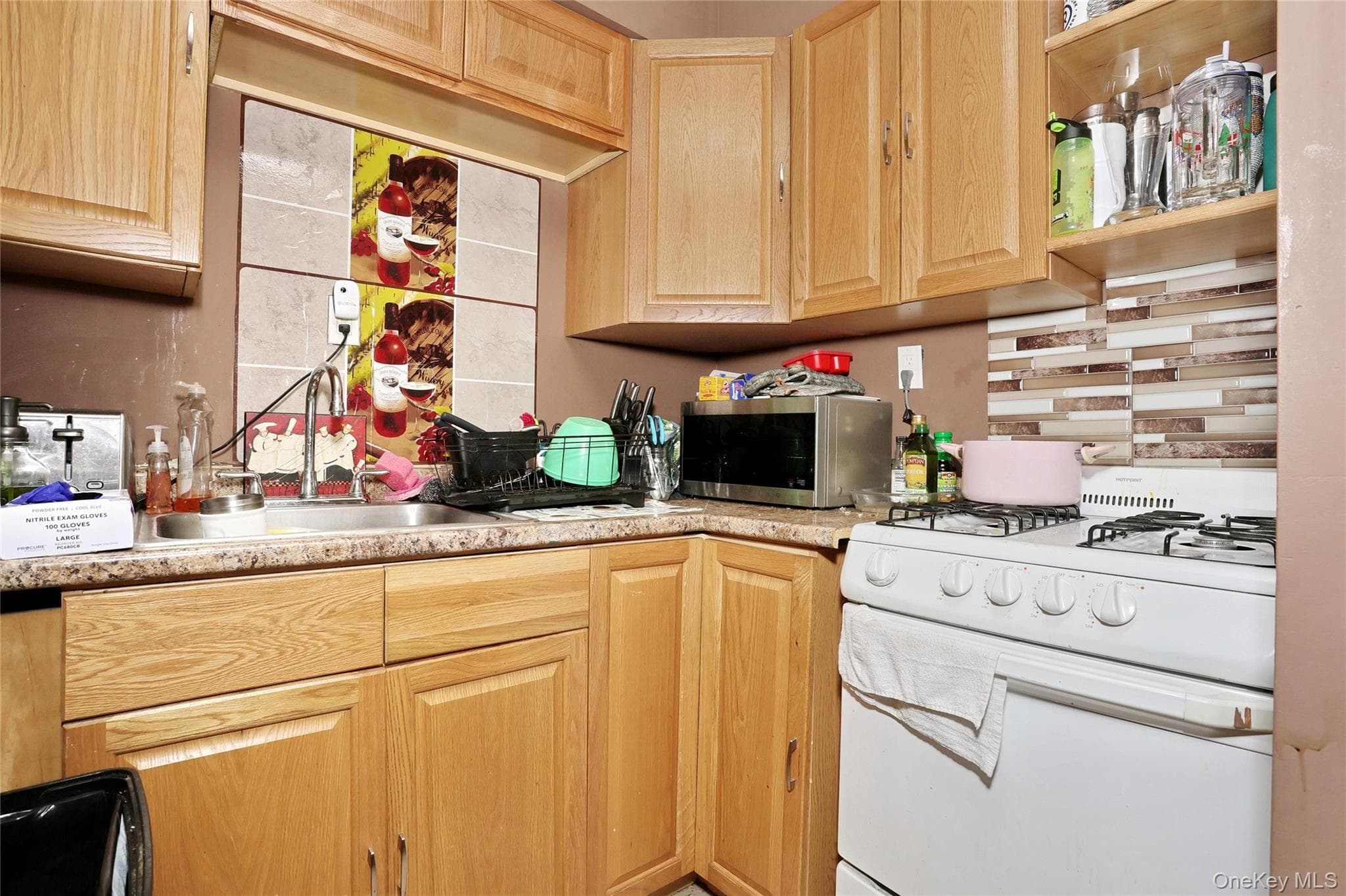 11 Phyllis Drive thumbnail 16