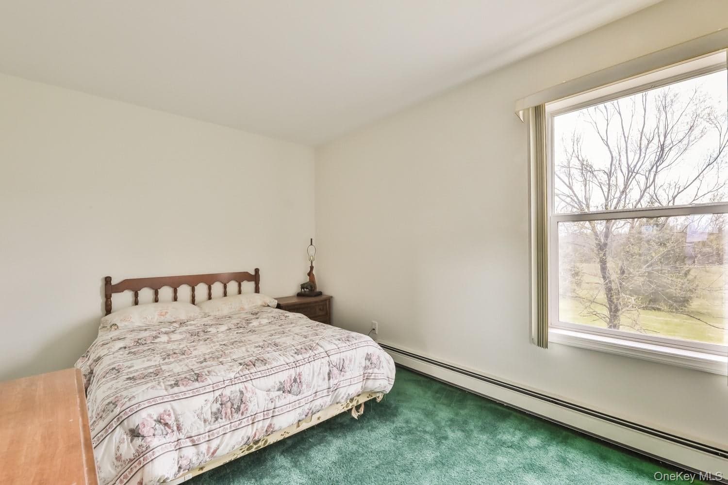 559 Case Road thumbnail 19