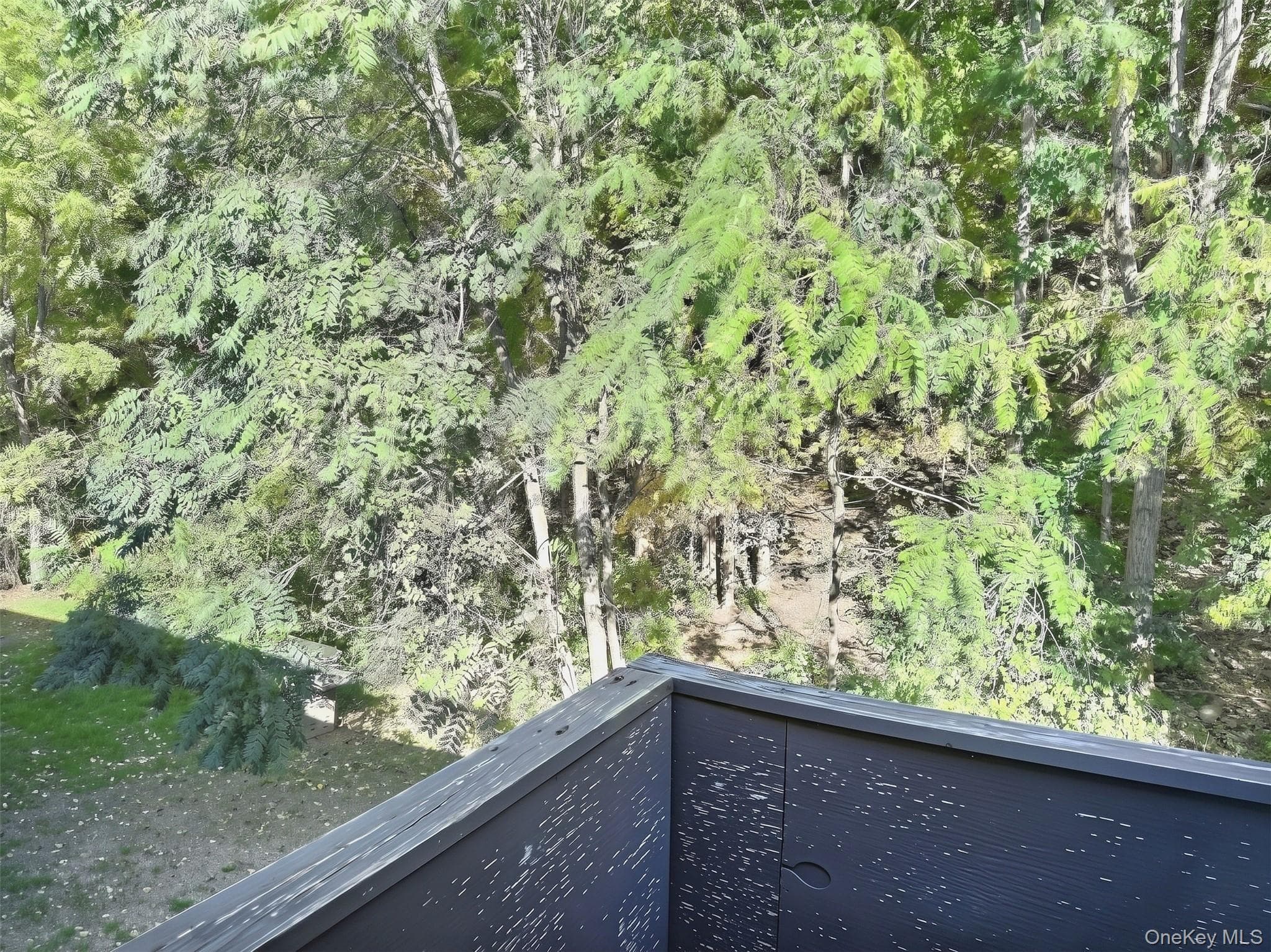 39 Scarborough Lane Unit: C thumbnail 9