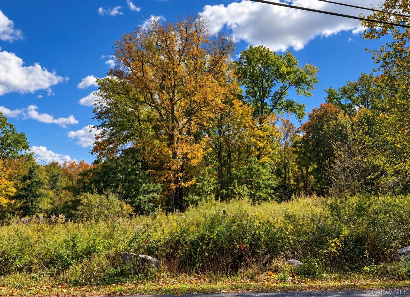 Rutsonville Road thumbnail 3