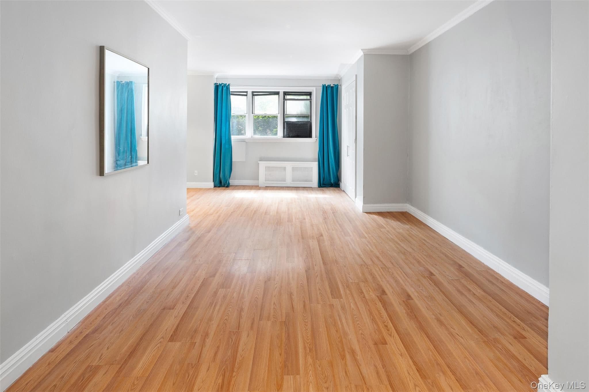 495 E 7th Street Unit: 1J, Brooklyn