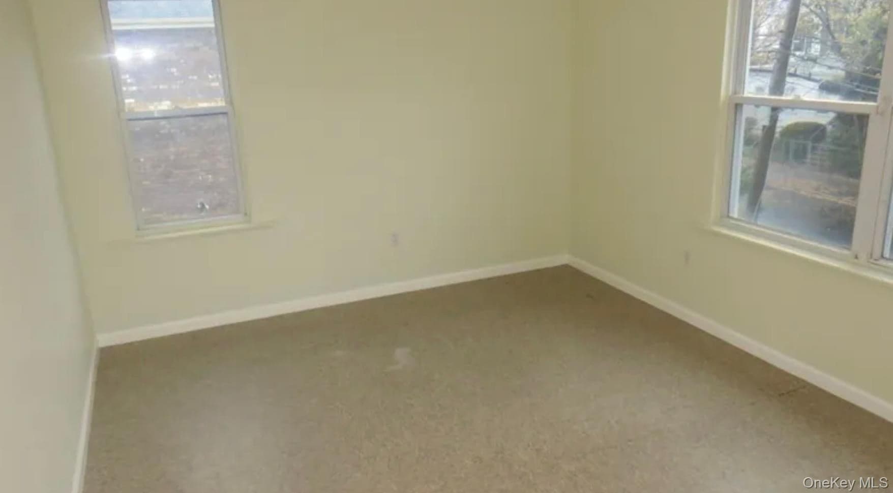 2910 Baisley Avenue thumbnail 26