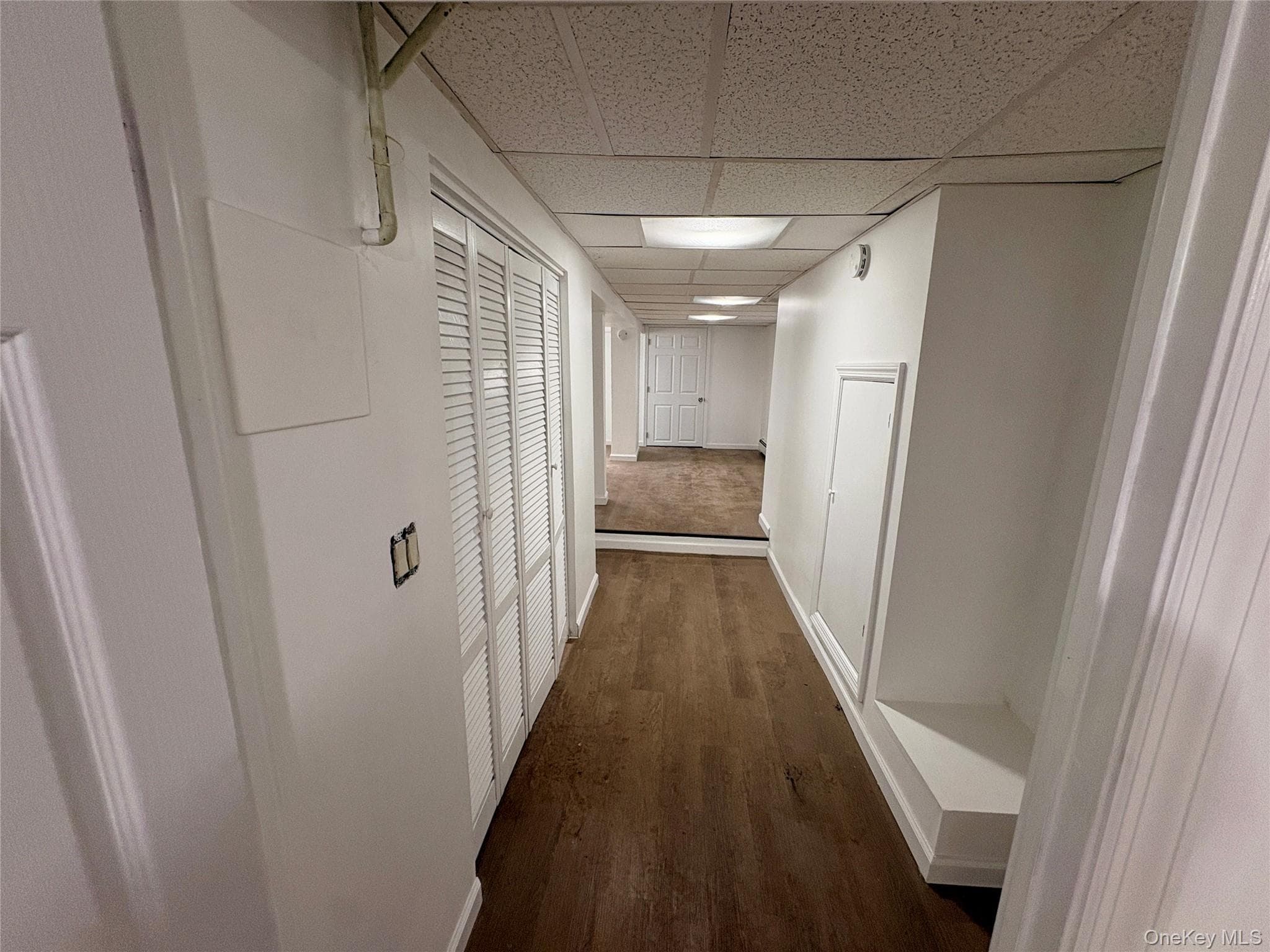 2910 Baisley Avenue thumbnail 20