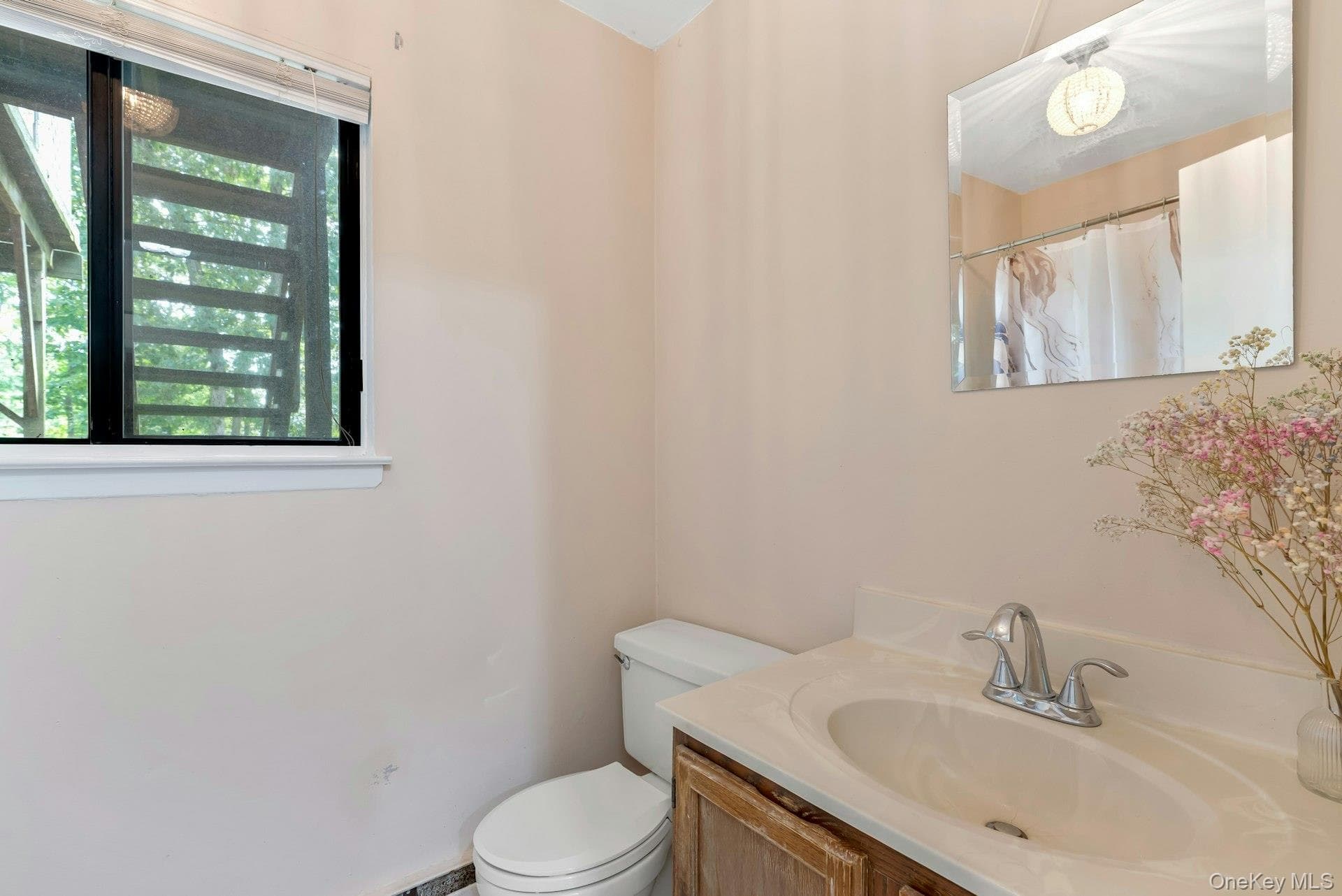 39 Woodbrook Drive thumbnail 19