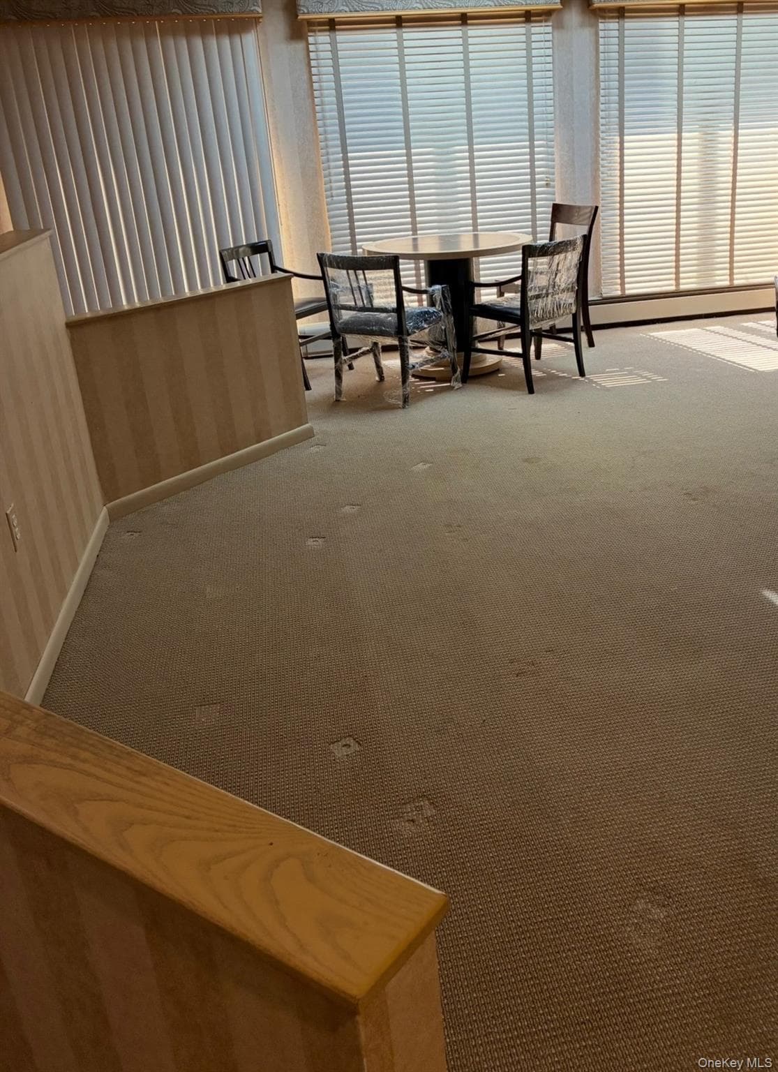 189 Scott Drive thumbnail 13