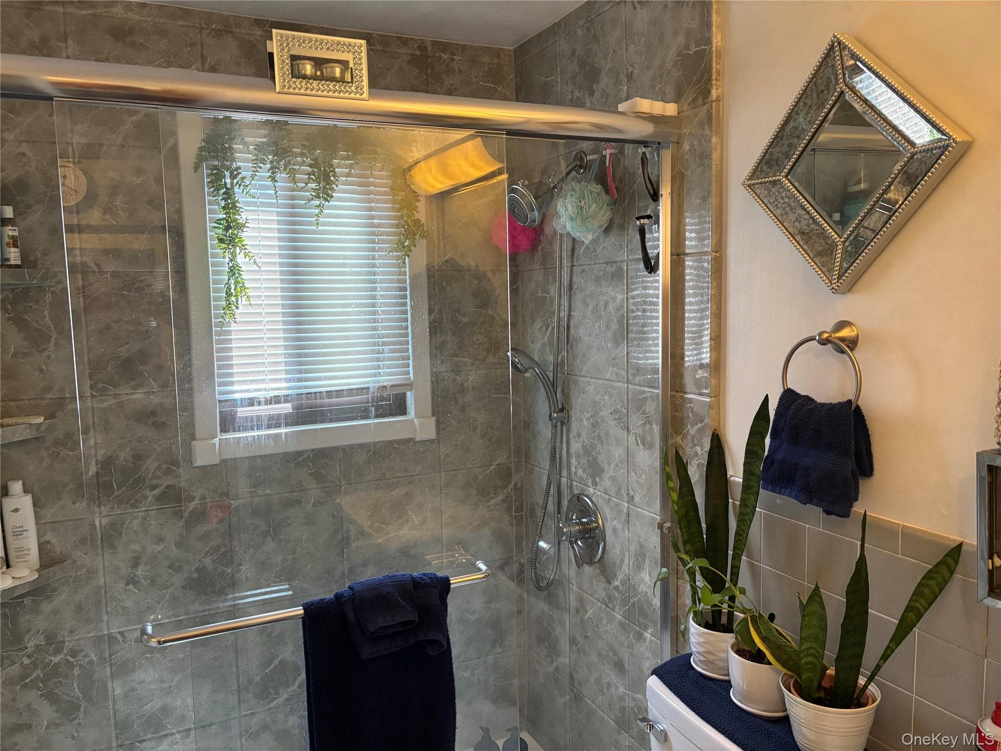 10 Oakwood Terrace TER Unit: 37 thumbnail 20
