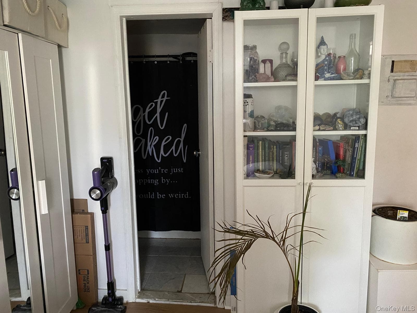 27 Milford Street thumbnail 9
