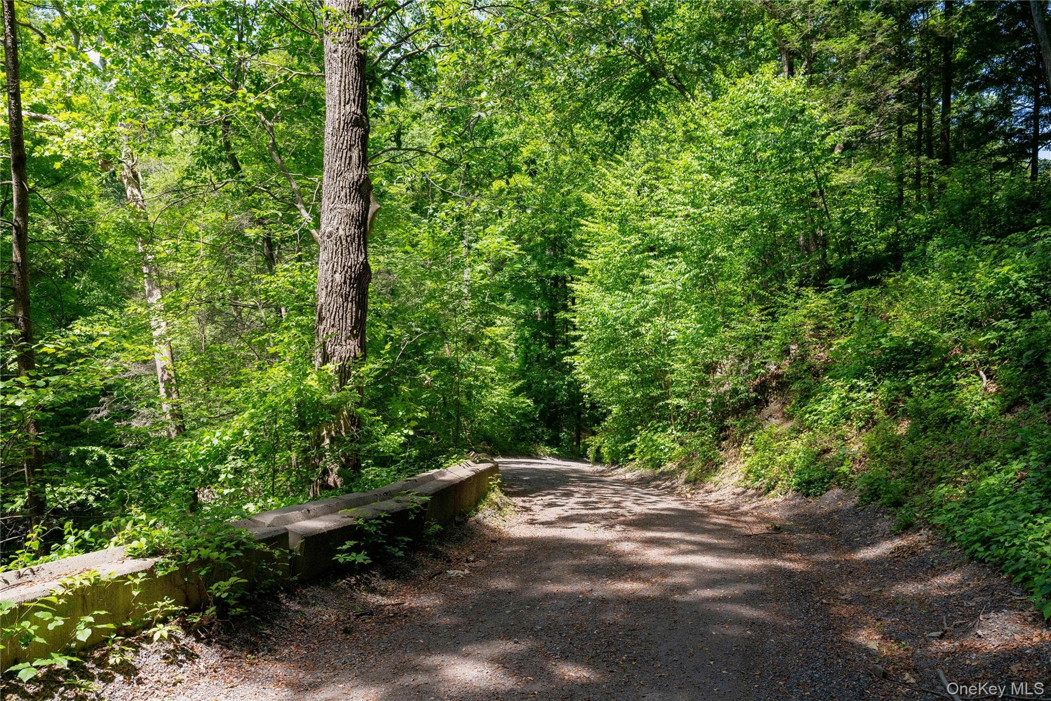 50 Mill Road thumbnail 25