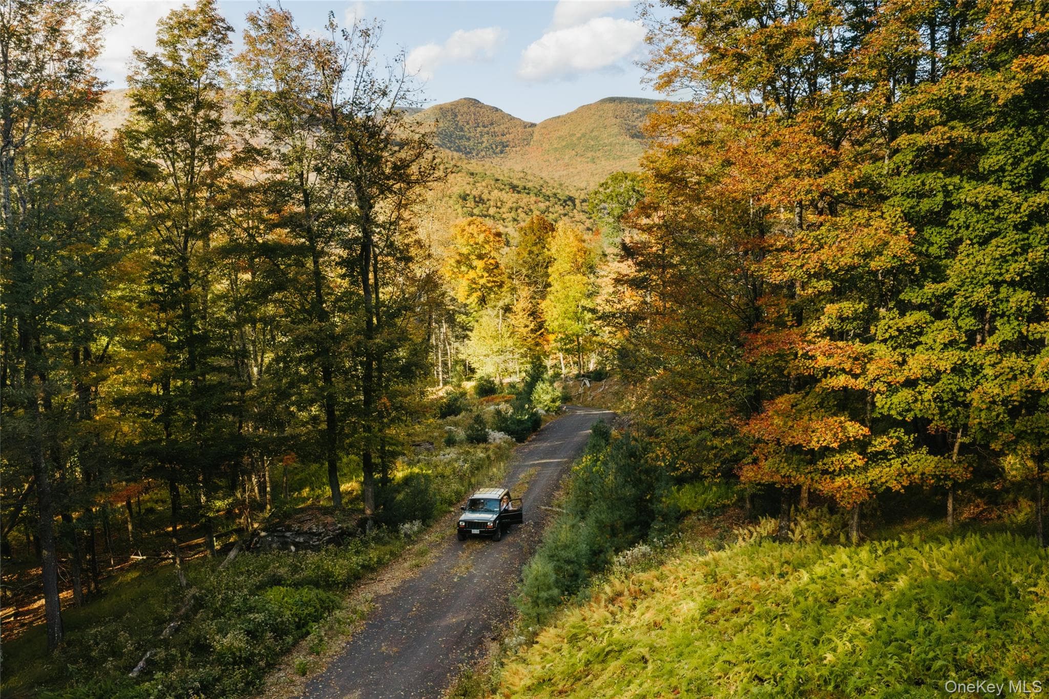 TBD Macdaniel Road, Bearsville