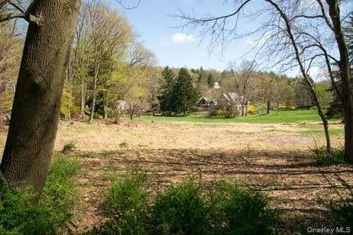 182 Tuxedo Road thumbnail 3