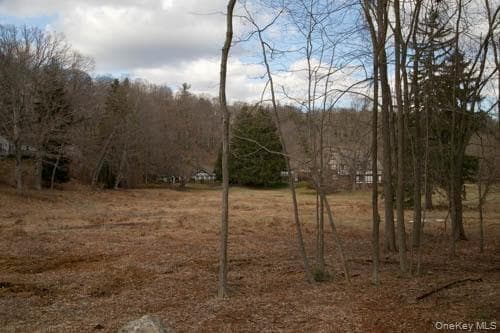 182 Tuxedo Road thumbnail 7