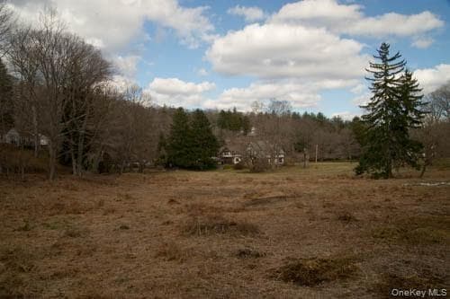182 Tuxedo Road thumbnail 4