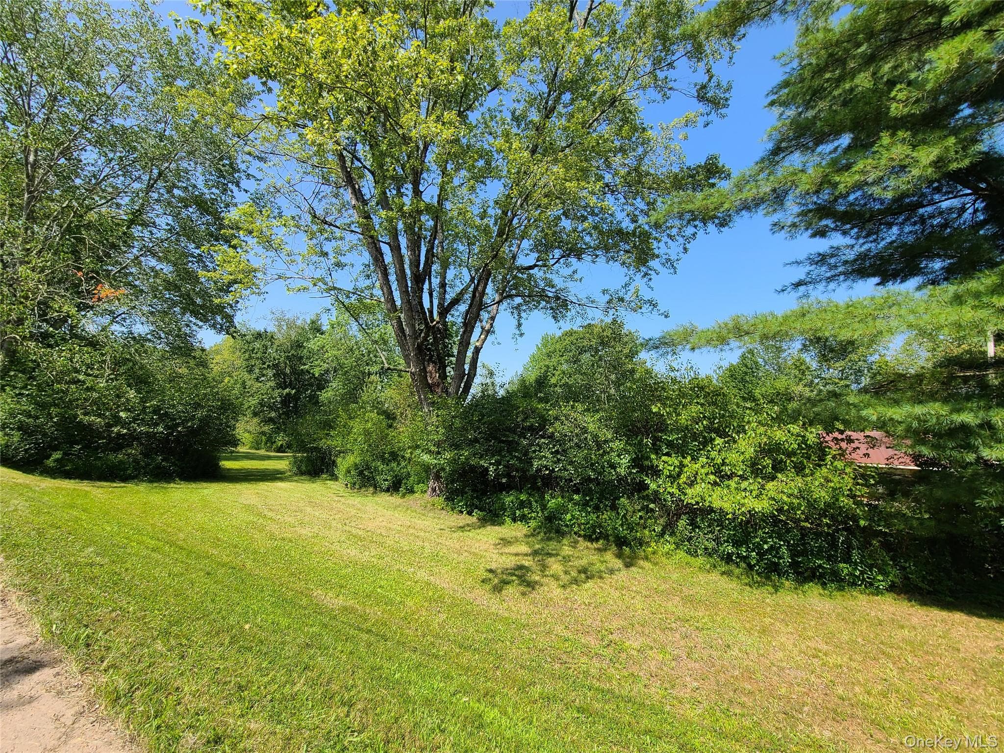 153 Shore Road thumbnail 31