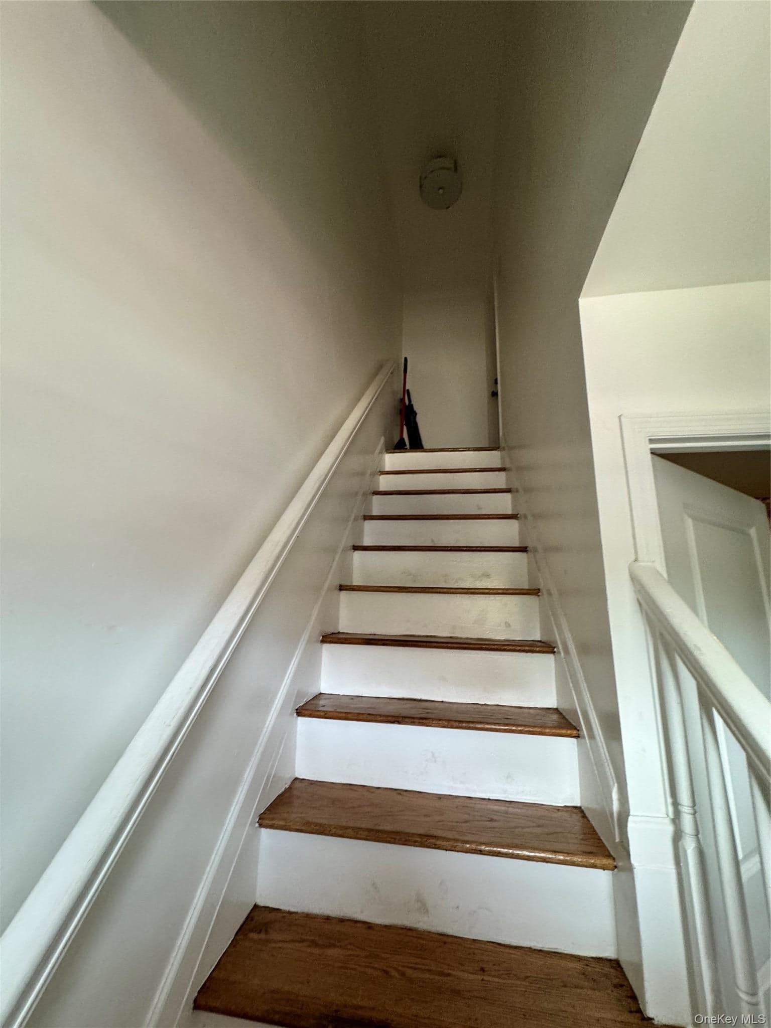 648 E 93rd Street thumbnail 16