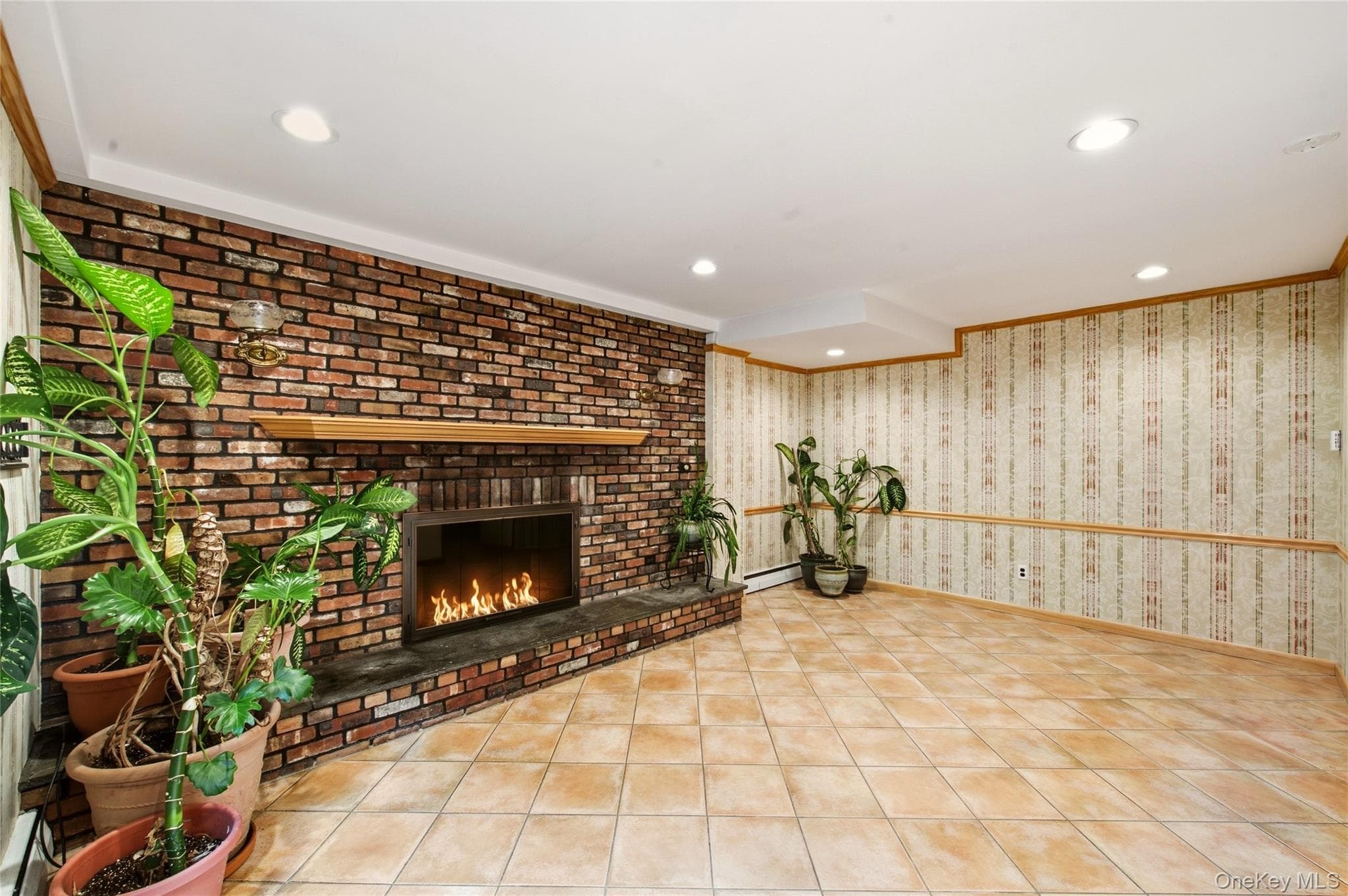 2554 Linden Lane thumbnail 8