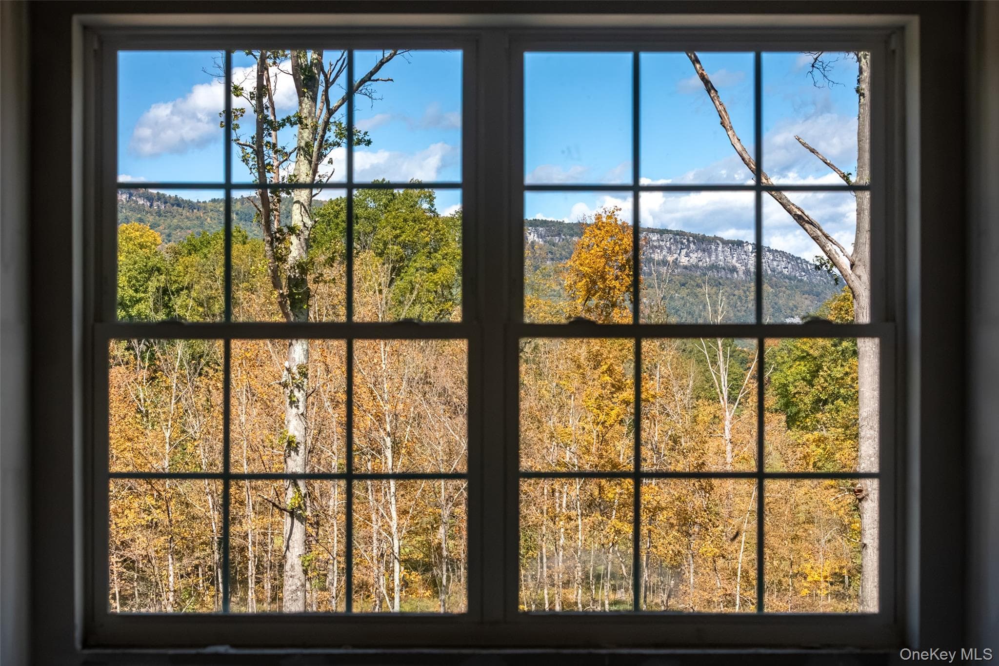 100 Tillson Lake Road thumbnail 6