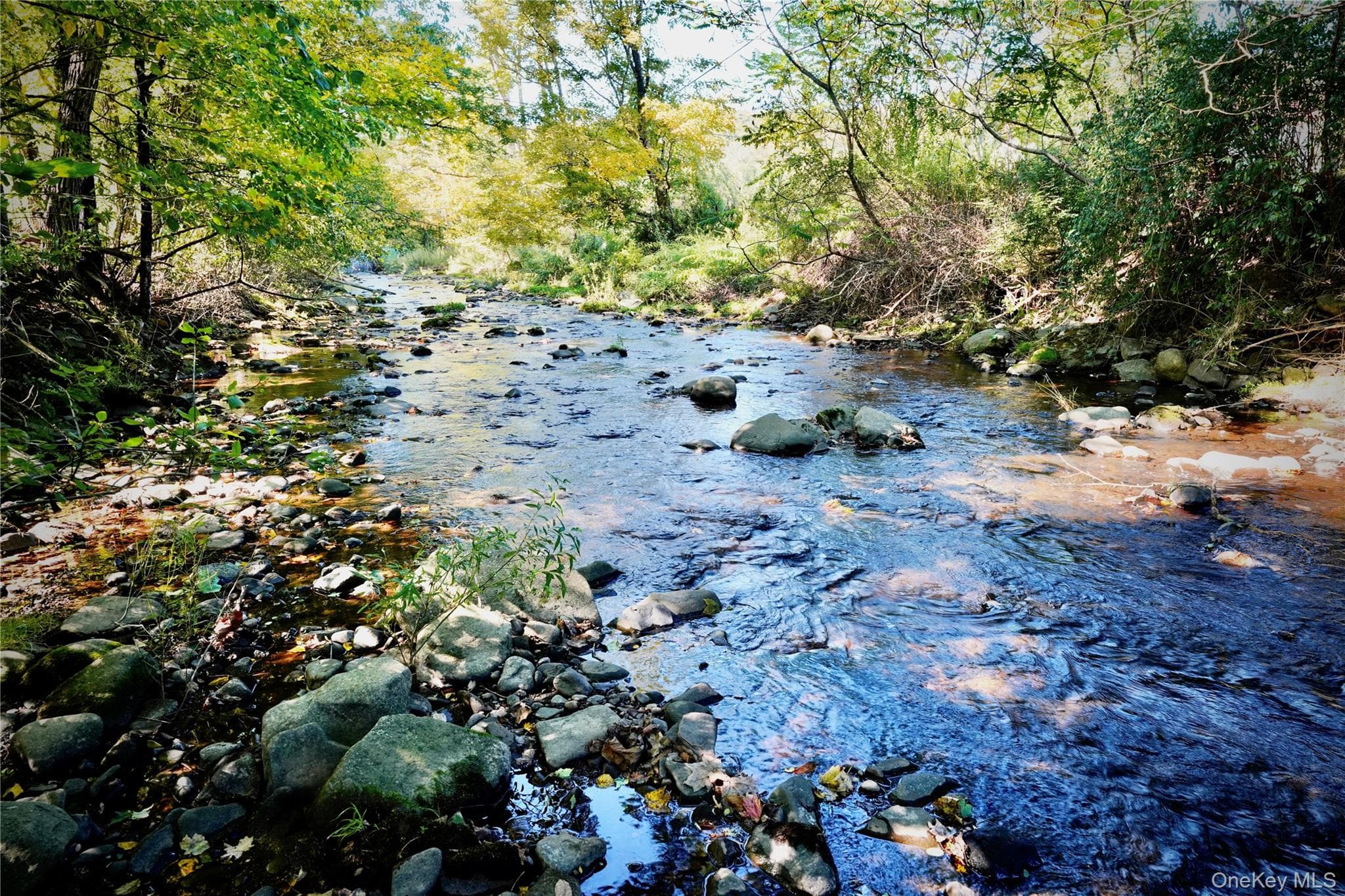 3858 State Route 52 thumbnail 8