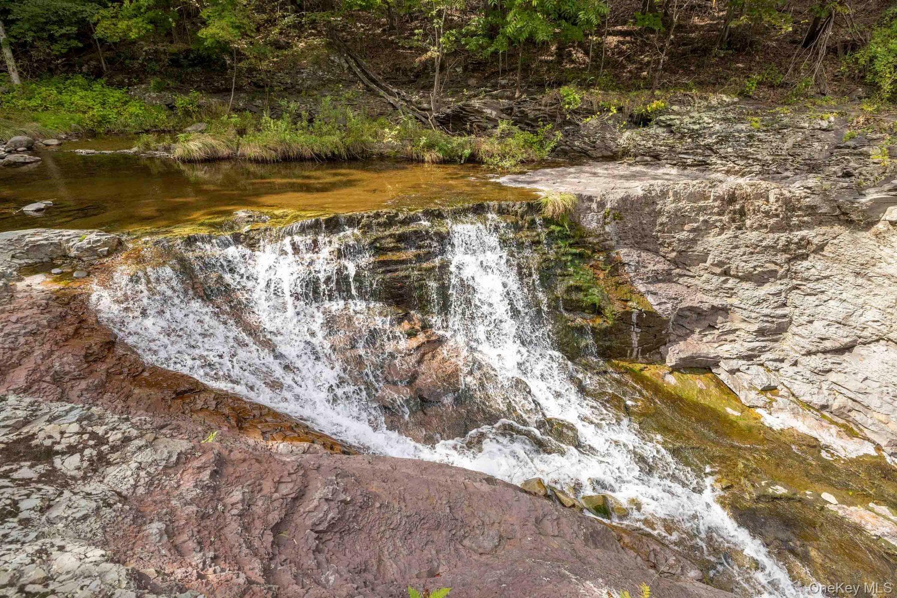 61 Woodland Falls Road thumbnail 38
