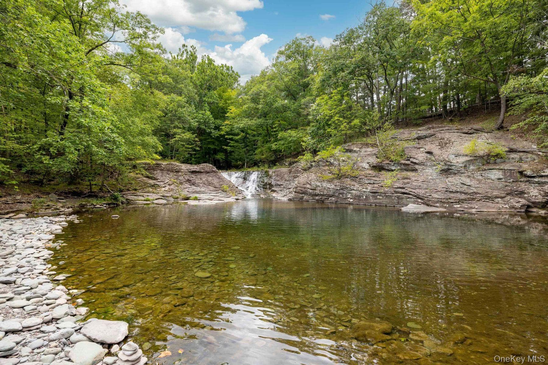 61 Woodland Falls Road thumbnail 4