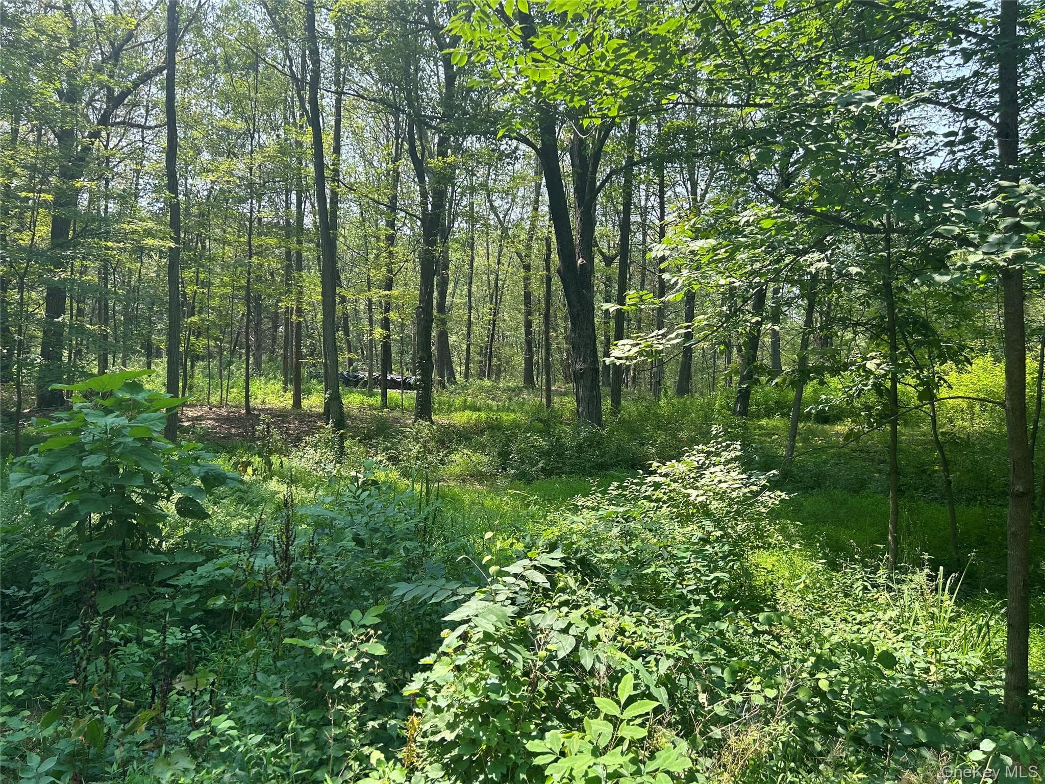White Schoolhouse Road thumbnail 2