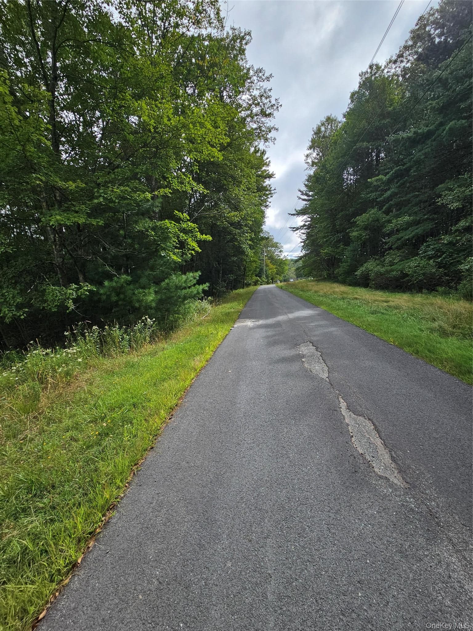 3624 State Route 55 thumbnail 24