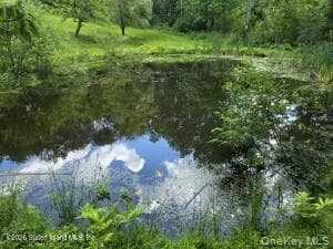 195 Haynes Hollow RD thumbnail 34