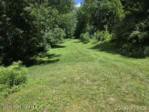 195 Haynes Hollow RD thumbnail 24