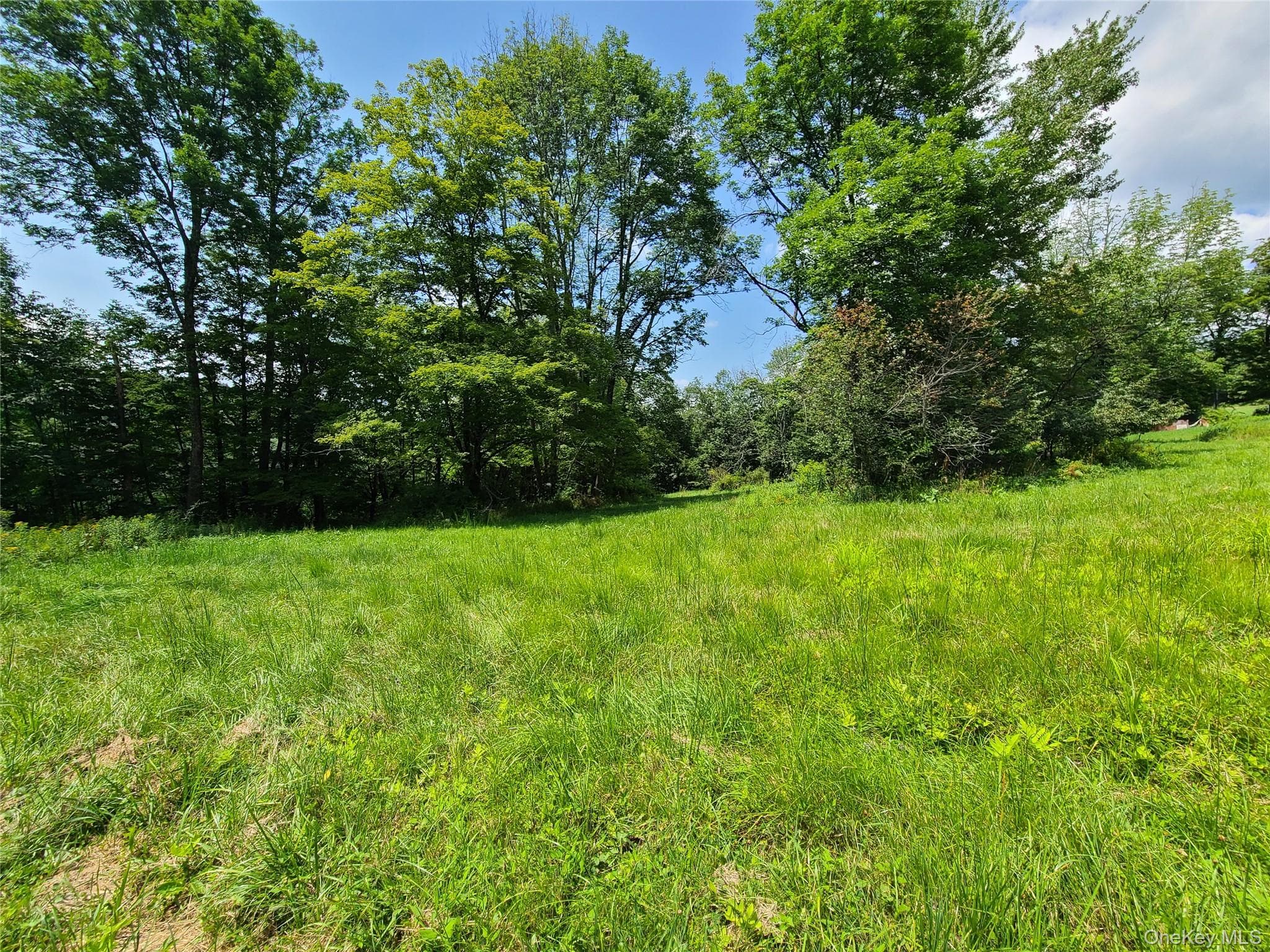 299-301 Stump Pond Road thumbnail 46