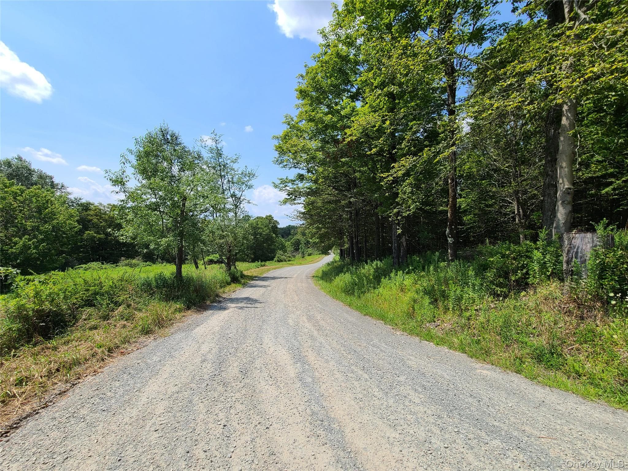 299-301 Stump Pond Road thumbnail 6
