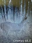 790 Oak Ln thumbnail 18