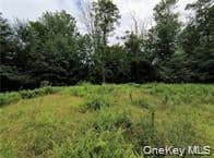 790 Oak Ln thumbnail 10