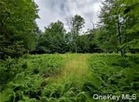 790 Oak Ln thumbnail 9
