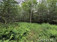 790 Oak Ln thumbnail 11
