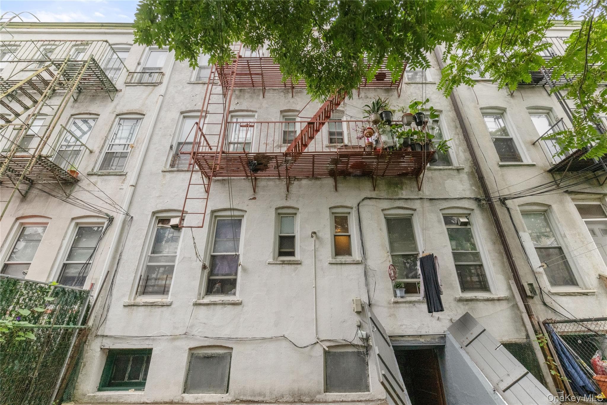 1822 Putnam Avenue thumbnail 16