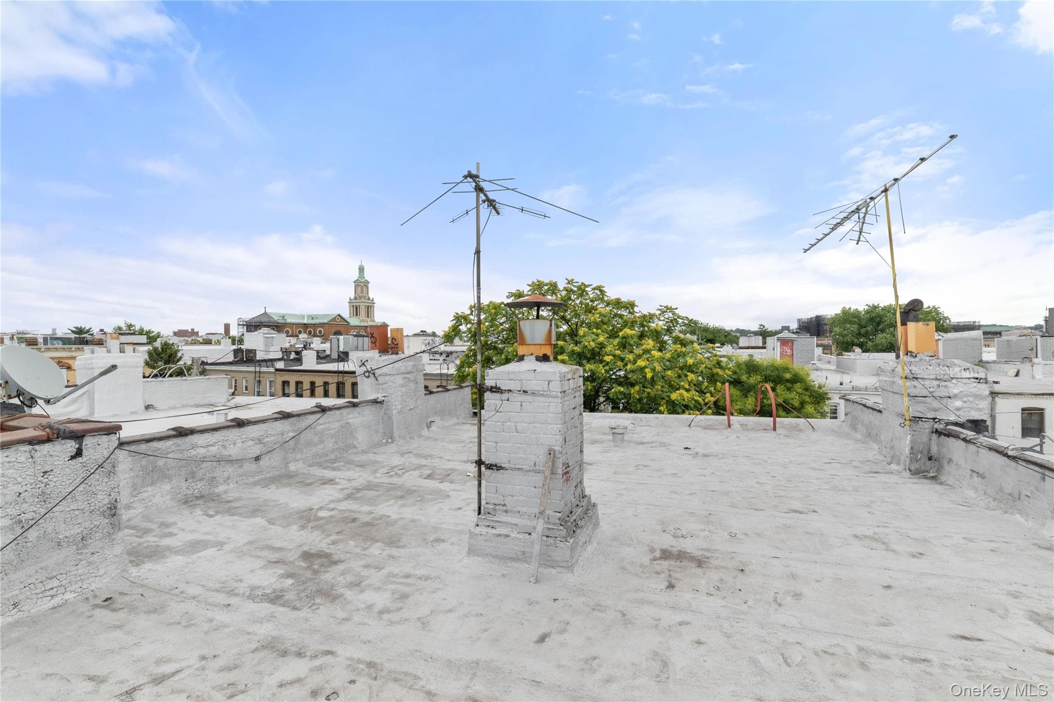 1822 Putnam Avenue thumbnail 17