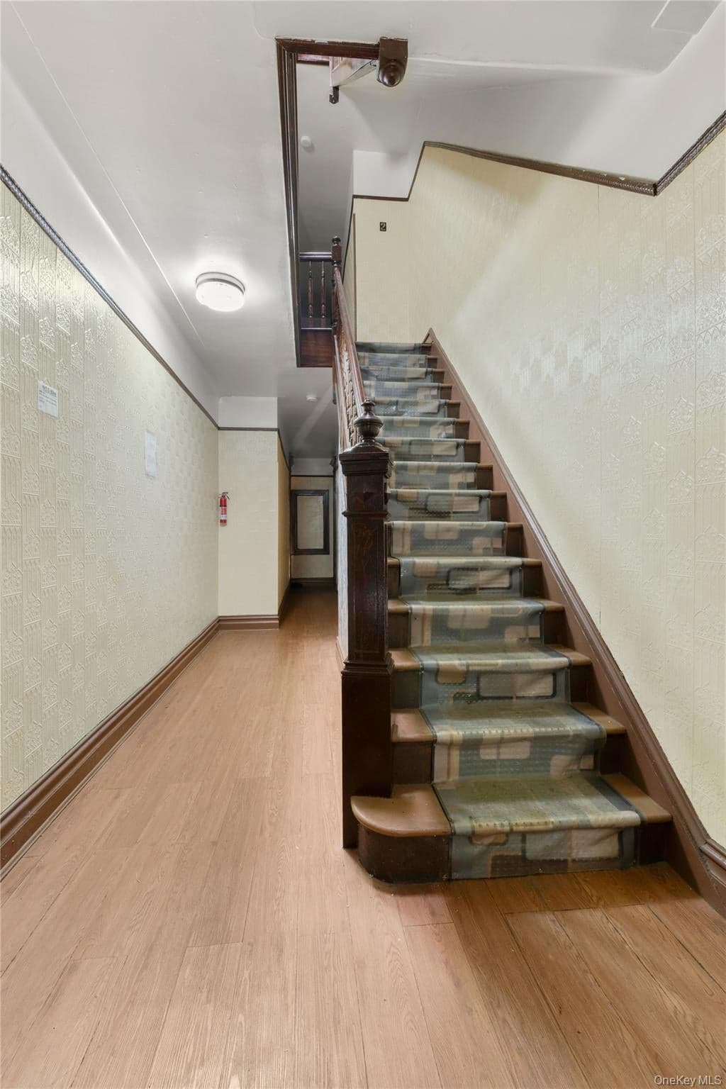 1822 Putnam Avenue thumbnail 2